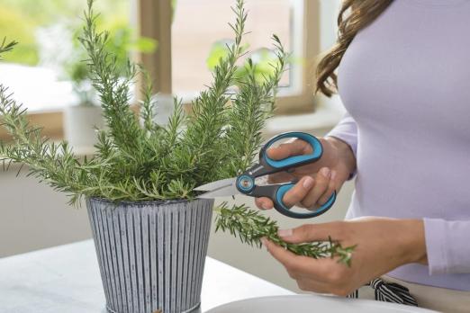 Ножницы садовые GARDENA 12214-20.000.00 HerbCut